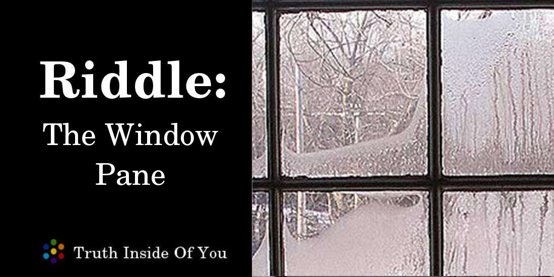 the window pane