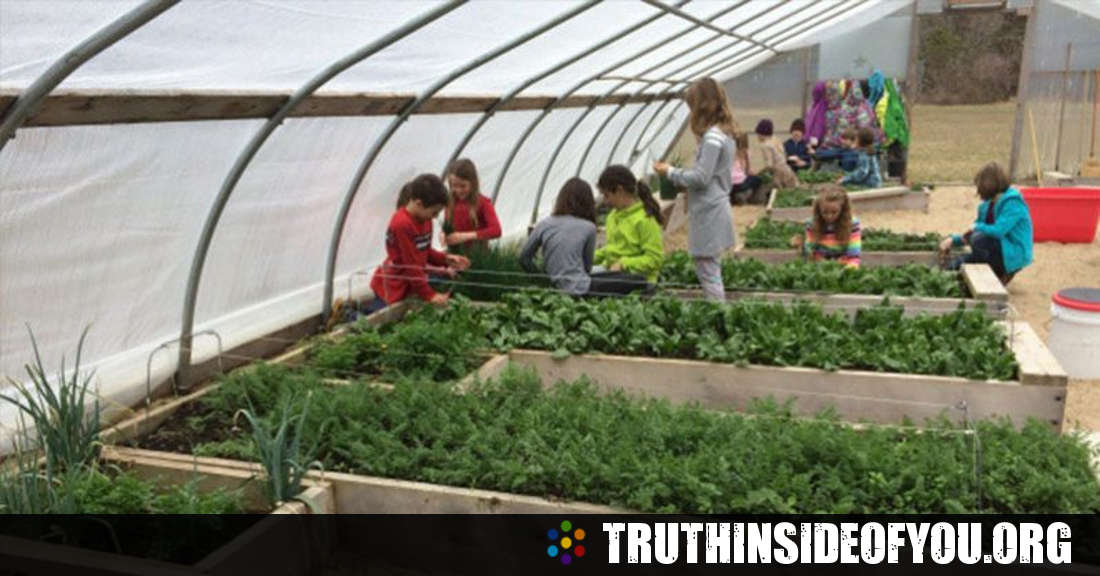 Schools Are Introducing Gardening Programs For A Wholesome Learning