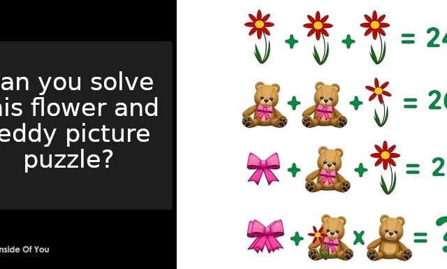 Can you solve this flower and teddy picture puzzle?