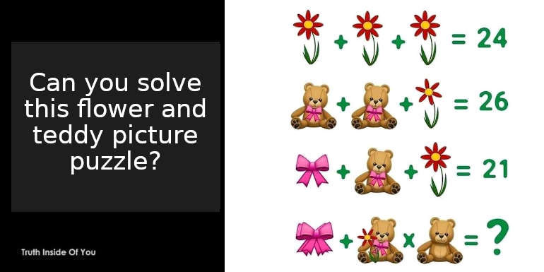 Can you solve this flower and teddy picture puzzle?