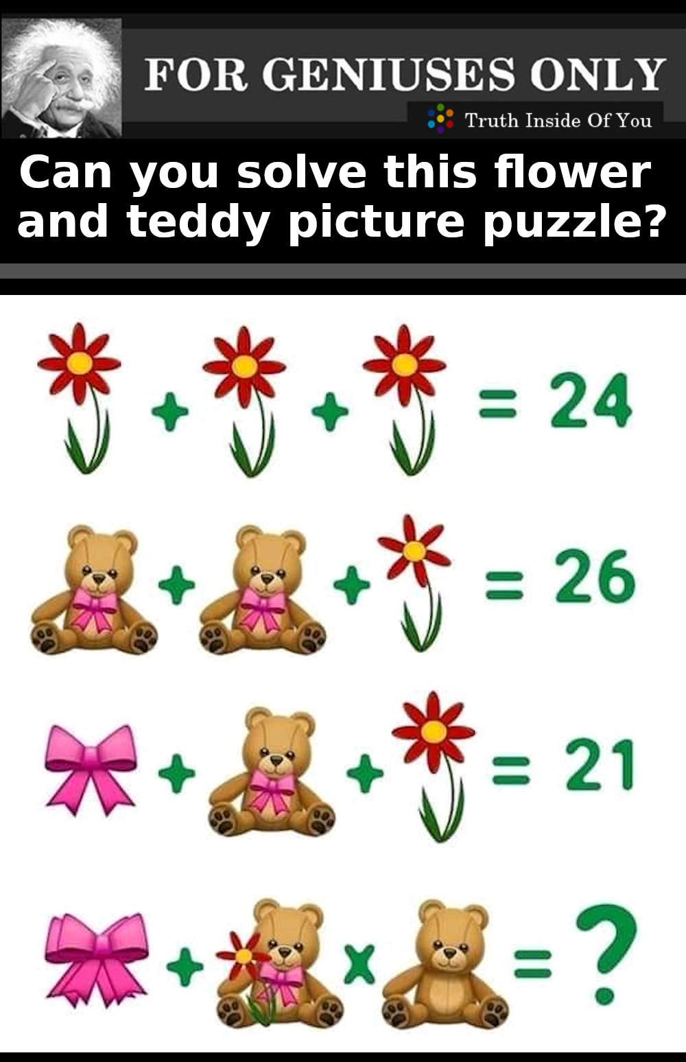 Can you solve this flower and teddy picture puzzle?