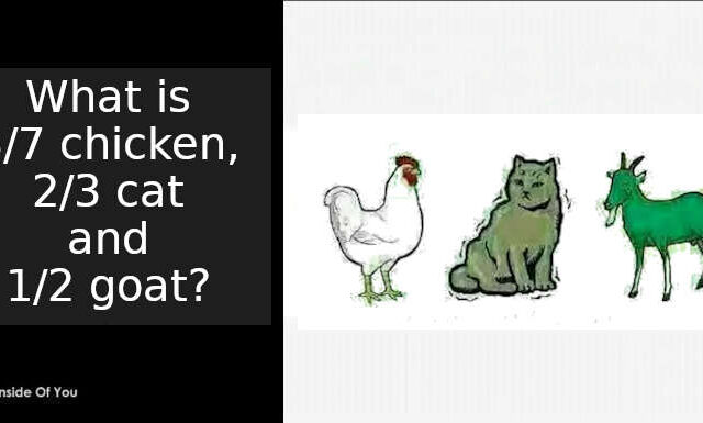 What is 3 7 Chicken, 2 3 cat and 1 2 goat? featured