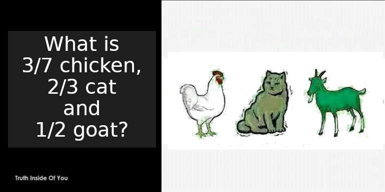 What is 3 7 Chicken, 2 3 cat and 1 2 goat? featured