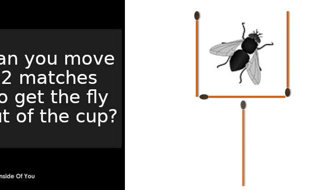 can you move two matches to get the fly out of the cup