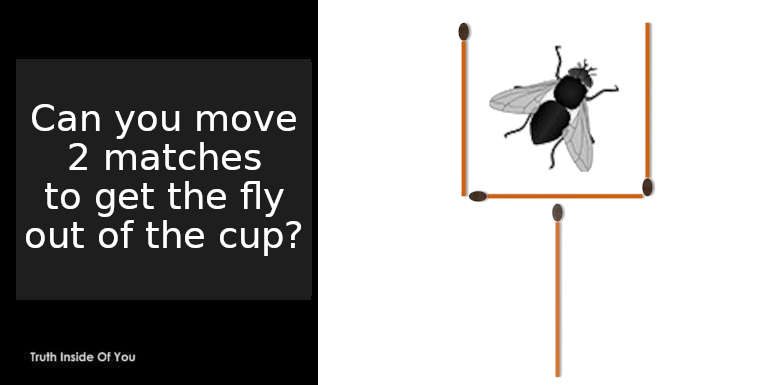 can you move two matches to get the fly out of the cup