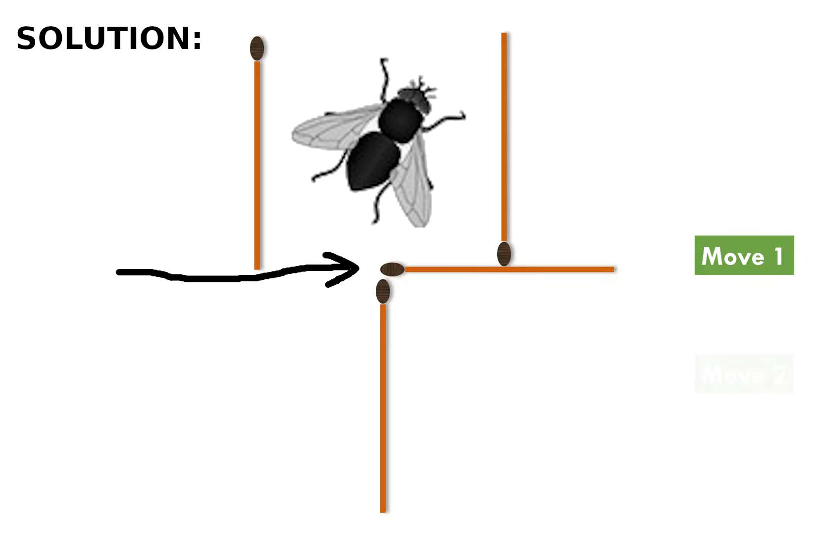 can you move two matches to get the fly out of the cup