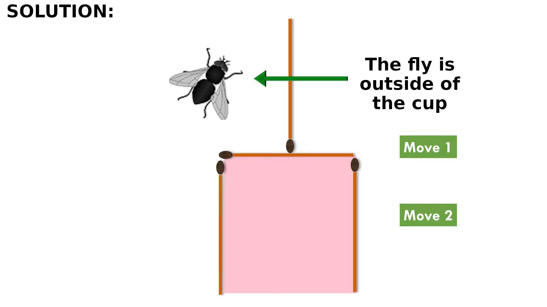 can you move two matches to get the fly out of the cup