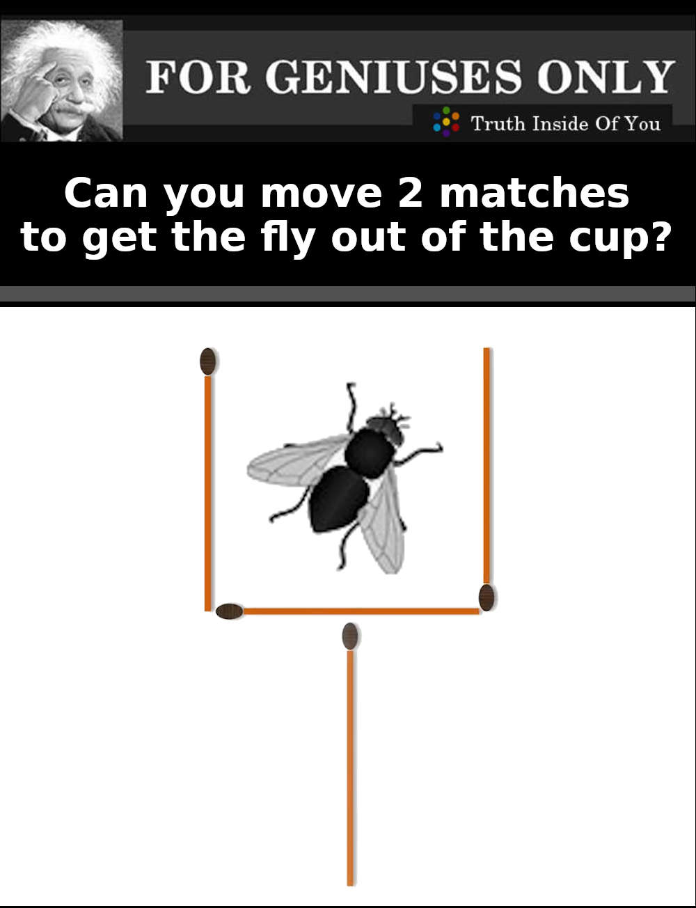 can you move two matches to get the fly out of the cup