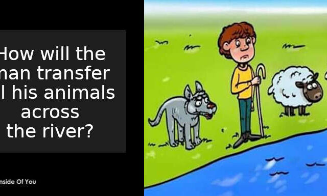 how will the man transfer all his animals across the river?