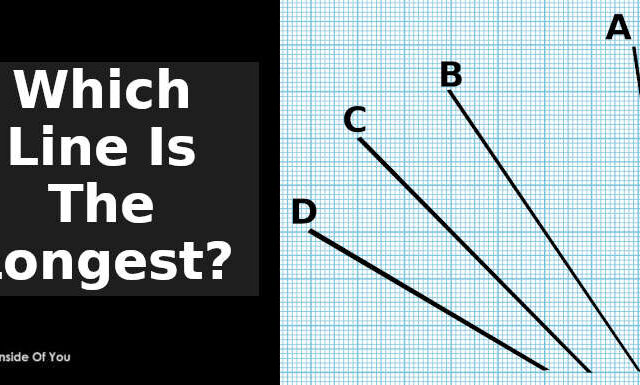 which line is the longest?