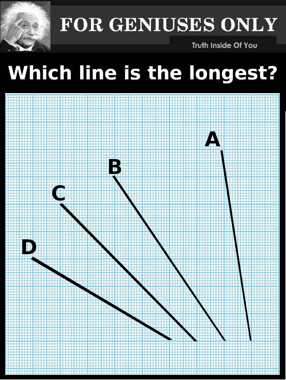 which line is the longest?