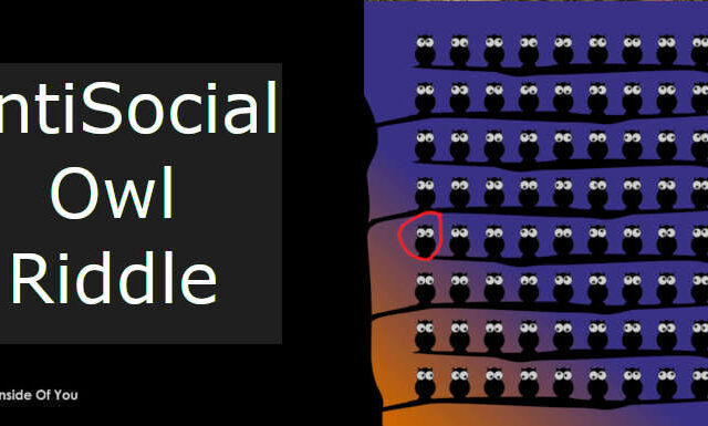 AntiSocial Owl Riddle featured