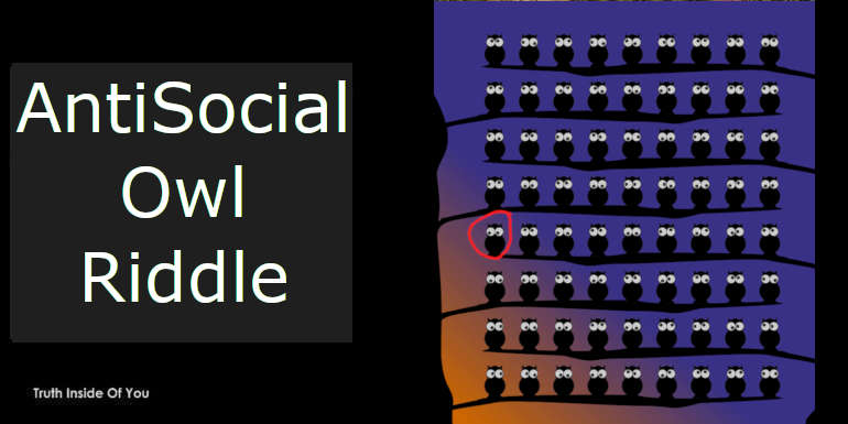 AntiSocial Owl Riddle featured