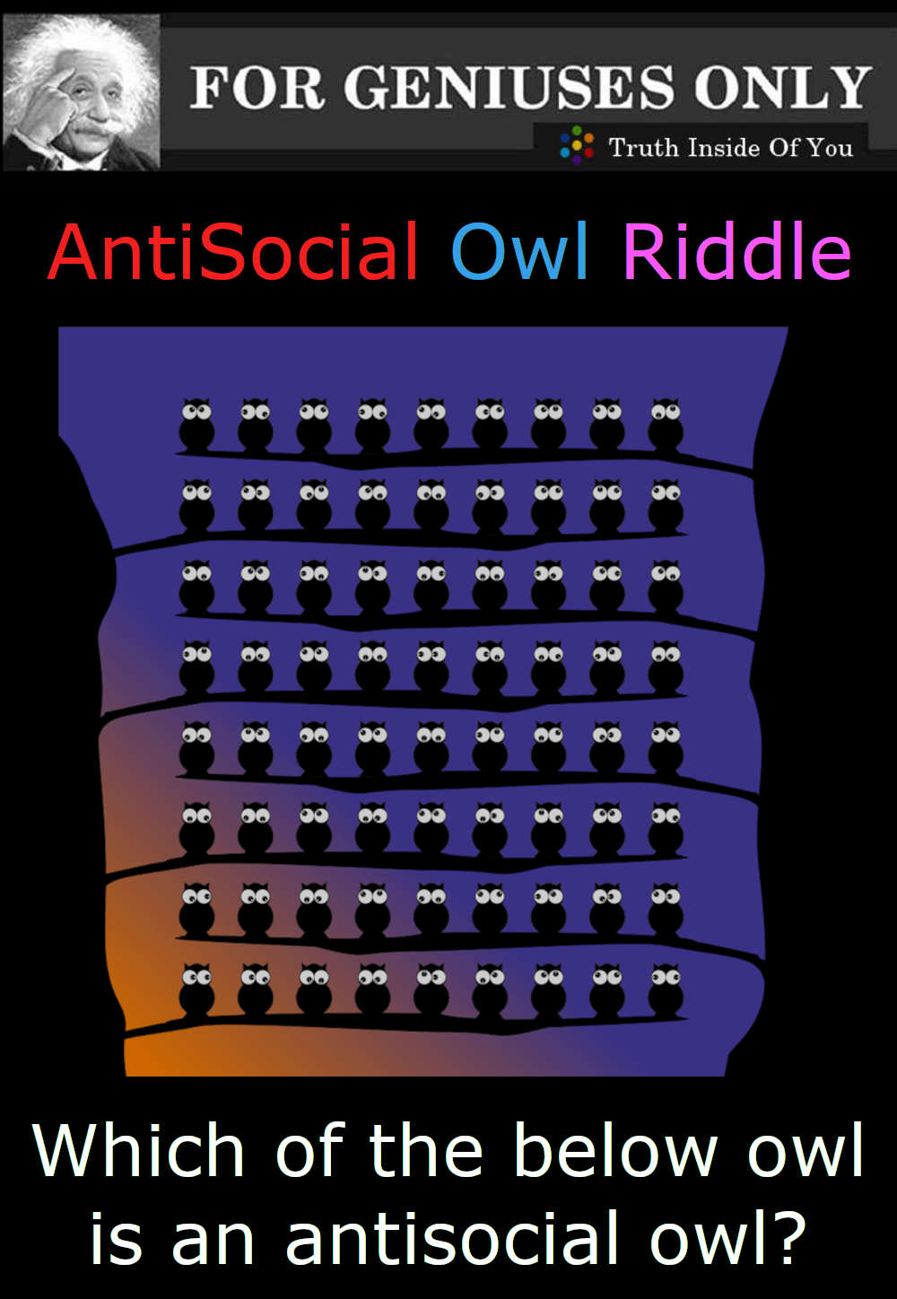 AntiSocial Owl Riddle