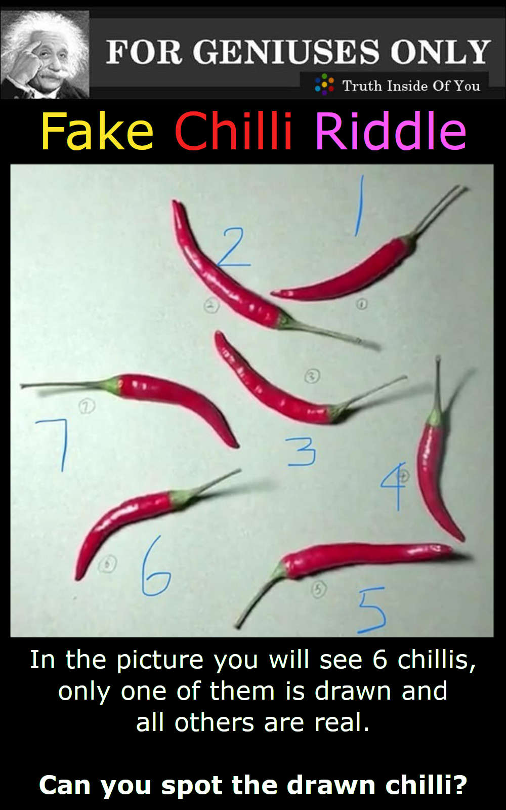 Fake Chilli Riddle