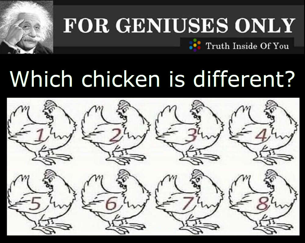 Which chicken is different