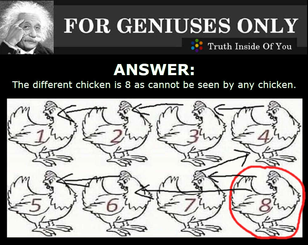 Which chicken is different Answer