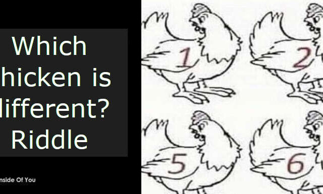 Which chicken is different? Riddle featured