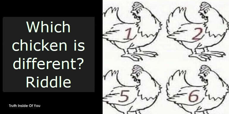 Which chicken is different? Riddle featured