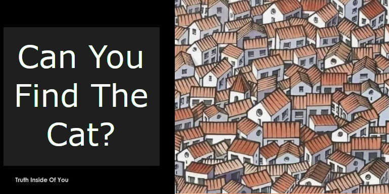 Can You Find The Cat? featured