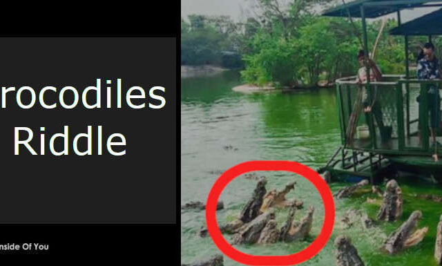 Crocodiles Riddle featured