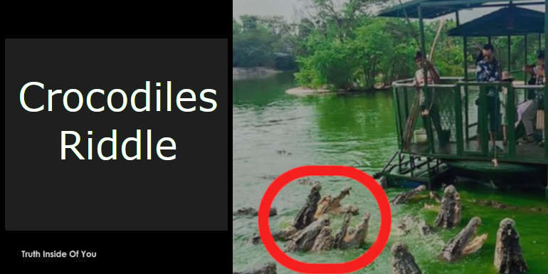 Crocodiles Riddle featured