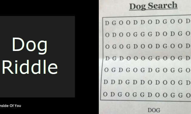 Dog Riddle featured
