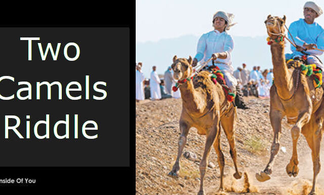 Two Camels Riddle featured