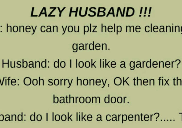 LAZY HUSBAND..!!! (FUNNY STORY)
