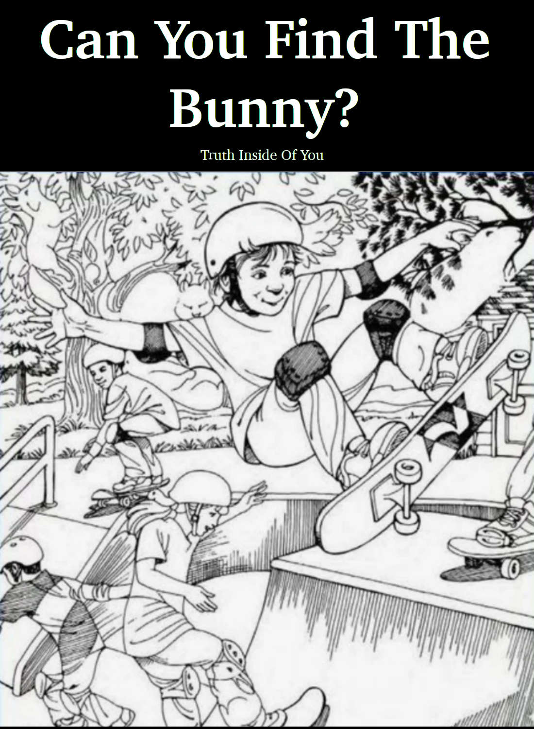 Can You Find The Bunny?